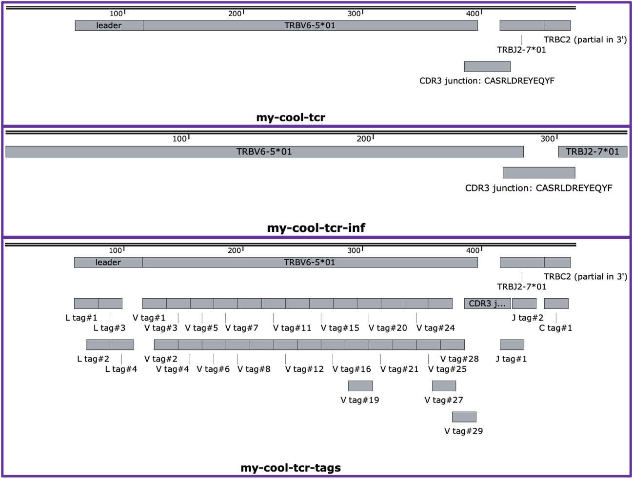 Three snapshots of SnapGene Viewer views of different sequence files produced using the autoDCR cli GenBank output mode. Top-to-bottom: default 'read' mode, 'inferred' mode, and 'tags' mode.